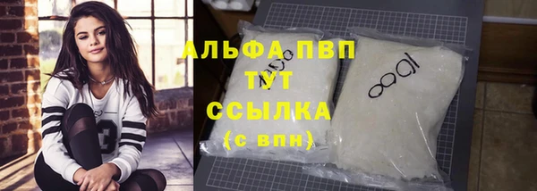 сатива Горняк