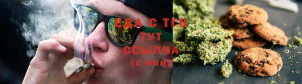 сатива Горняк