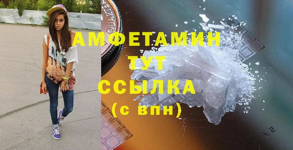 сатива Горняк