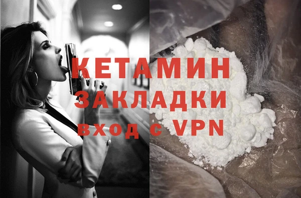 сатива Горняк