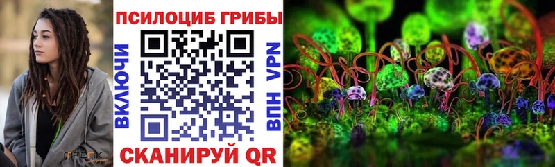 Псилоцибиновые грибы Psilocybe  Жуков 